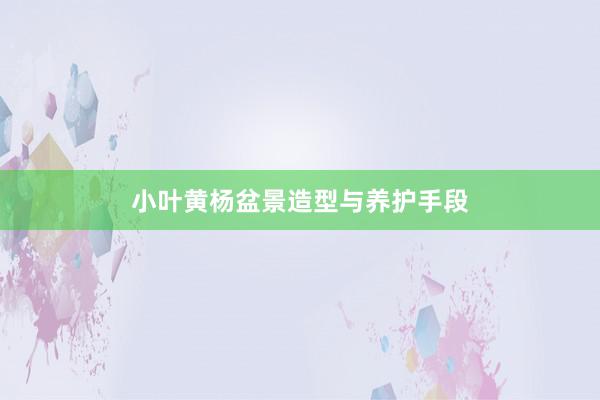 小叶黄杨盆景造型与养护手段