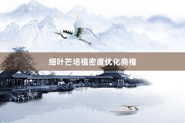 细叶芒培植密度优化商榷