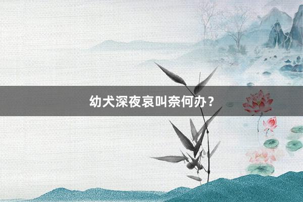 幼犬深夜哀叫奈何办？
