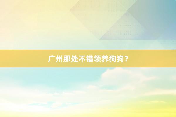 广州那处不错领养狗狗？